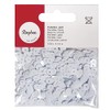 Rayher 3920002 Sequins, Smooth, 6 mm Diameter, Individually Packed 1000