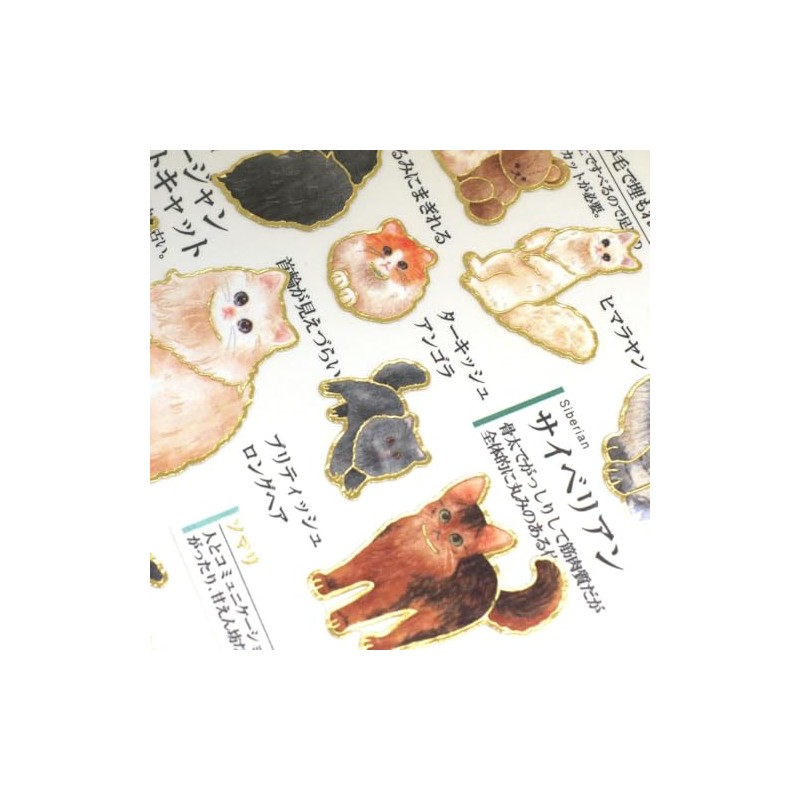Kamio Japan Seal, Adult Encyclopedia Seal, Cat Long Hair 221268