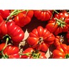 30 Costoluto Genovese Pomodoro Tomato Seeds, Heirloom Non-GMO, Low Acid,