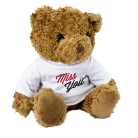 NEW Miss You - Cuddly Teddy Bear - I Miss You Present - Gift Missing You