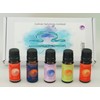 Aromatherapy "Zodiac Libra Collection" 5 10ml Bottles