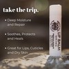 Skin Trip Lip Balm | Nourish, Heal, Hydrate