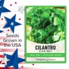 Cilantro Seeds for Planting Heirloom Non-GMO Herb Coriander Plant Seeds