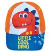 Dinosaur Poncho, Towel for Beach or Pool + Dinosaur Hat