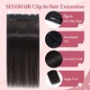 SEGOHAIR Clip In Hair Extensions for women One Piece 5