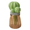 Moisturizing Mascot Cactus Glass BR AG-28085