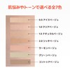 The Semimcover Perfection Concealer Pencil (#0.5 Ice Beige)