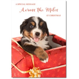 doodlecards Across The Miles Christmas Card Dog in Parcel Medium Size Christmas Card with Plain Envelope