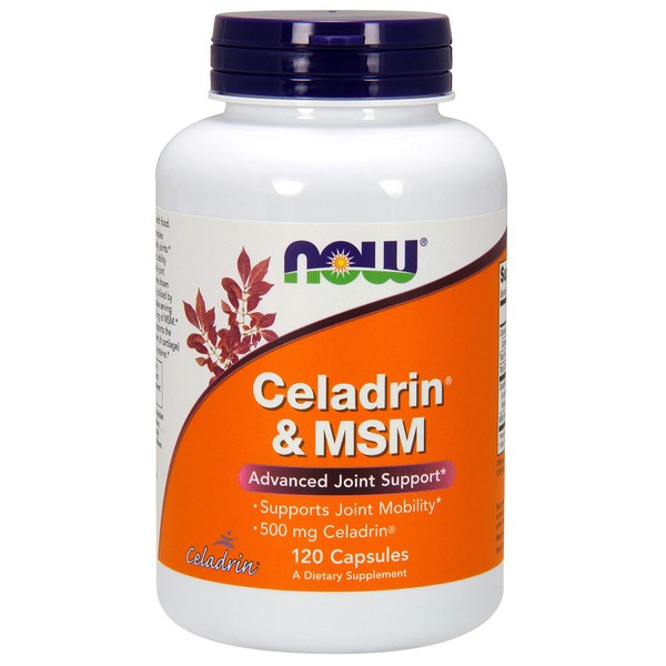 Celadrin® and MSM 500mg 120 Capsules (Pack of 2)