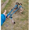 Chewtopia Poo Bag Holder Porter For Dogs Fastens to Belt