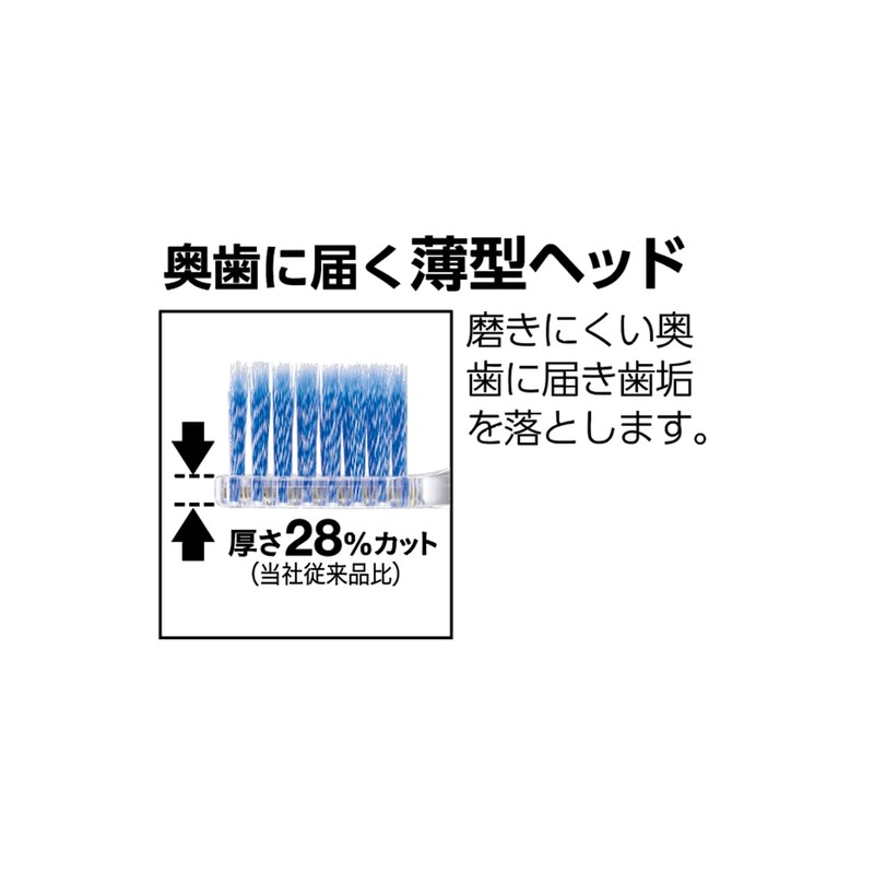 Ebis Pro Grip Brush Type I Regular Set of 3,