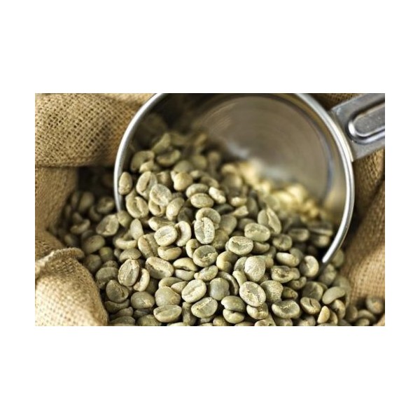 3 lbs Mexican Chiapas H/G E/P Organic Green Un-Roasted Coffee Beans