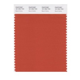 PANTONE Smart 18-1354X Color Swatch Card, Burnt Ochre