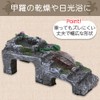 All Bright Reptile Shelter, Reptile Shelter, Hideaway, Turtle, Floating Island,