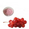 적포도농축분말 100g 샘플 Concentrated Red Grape Powder 100g Sample