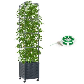 DXront Raised Garden Bed with Tomato Cage 56.7” Self Watering Tomato Planter Boxes with Trellis Wheels for Outdoor Climbing Flowers Vegetable Vine Vegetables