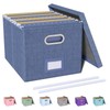 Oterri File Organizer with Lid, File Box, File Cabinet for