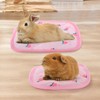KAMA BRIDAL 2 Pack Guinea Pig Bed and Mat Rabbit