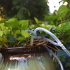 Black Timer Indoor Automatic Watering Device System Automatic Irrigation Waterer