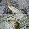 Goture Minnow Lure Set, Stream, Gulf, Sinking Minnow, Sea Bass,