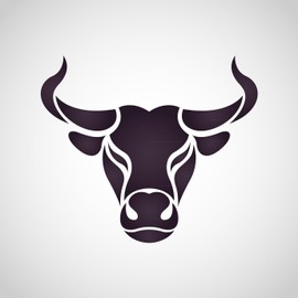 10 x 500 g Taurin – rein/ohne Zusatzstoffe | Pulver | konditionell-essentielle Aminosäure | Nahrungsergänzungsmittel Sport | vegane Nutrition | Buxtrade 5kg