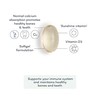 Vitamin D+ Softgel Capsules - Vegan Highly Bioavailable Sunflower Formulation
