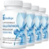 Superset Nutrition | Gluta Max (252 Caps) | Glutamine | Anti-Catabolic Effect + B5