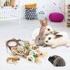 Bissap 3 PCS Rabbit Chew Toy, Bunny Cage Hanging Chew