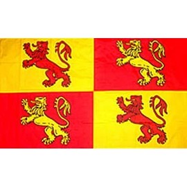 Owain Glyndwr Welsh Wales Dragon 5'x3' Flag