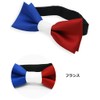 Quintet World Flags Bowtie, Bowtie, Made in Japan, France