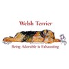 CafePress Exhausted Welsh Terrier Rectangle Magnet, 3"x2" Refrigerator Magnet
