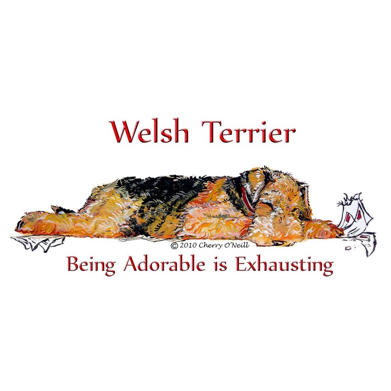CafePress Exhausted Welsh Terrier Rectangle Magnet, 3"x2" Refrigerator Magnet