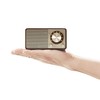SANGEAN WR-301 FM Radio Bluetooth Speaker, Walnut