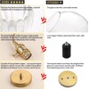 Battery Operated Pendant Light,Petal Glass Battery Chandelier Light with Rechargeable