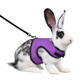 Niteangel Adjustable Soft Harness with Elastic Leash for Rabbits (XL, Purple)