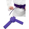 SHIHAN POWER SPORTS PURPLE 280cm Karate Taekwondo Belt, Karate, Kickboxing,
