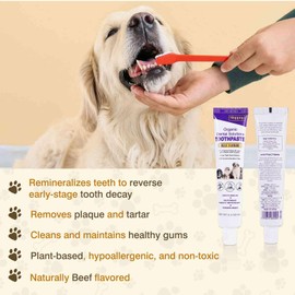 Toothpaste | Teeth Cleaning and Fresh Breath Dental Care for Chi-Poo and Other Mixed Breed Dogs | Soothes Inflamed Gums | Safe for Puppies | Vet Formulated 2 Pack (4.8 OZ)
