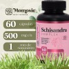 Schisandra Shatavari Complex 60caps Balance Hormonal Mujer Sin Sabor