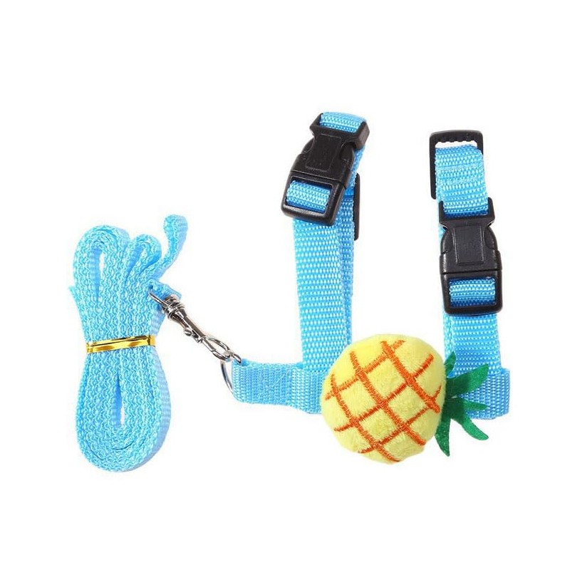 Bunny Harness and Leash for Rabbits,Bunny Vest Leash Eescape Proof