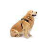WeatherTech Pet Safety Harness - Keeps Your pet Safe and