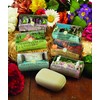 Nesti Dante Emozioni In Toscana Natural Soap, Thermal Water, 8.8