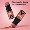 Rubor Almay Color & Care Tint Stick Tono Berry Flush