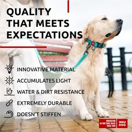 WAUDOG Waterproof Dog Collar - Adjustable Glow Dog Collar for Large Dogs, Small and Medium Dogs - Heavy Duty Dog Collars with Durable Metal Clasp and QR Dog Tag - Glow in The Dark Dog Collars