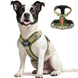 Tacwild No Pull Dog Harness - Adjustable Reflective Dog Vest with Metal Snap, Soft Breathable Mesh No Choke Puppy Harness, Easy to Put on & Take Off (Green-M)
