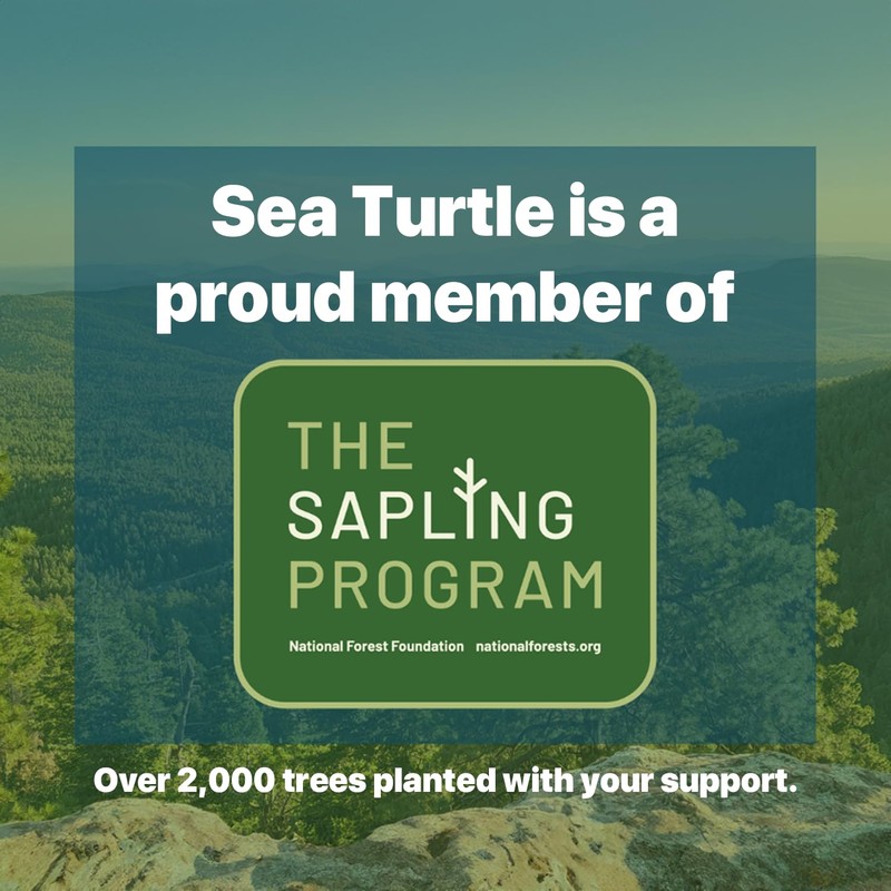 Sea Turtle Dental Floss Picks - Corn Starch Handle -