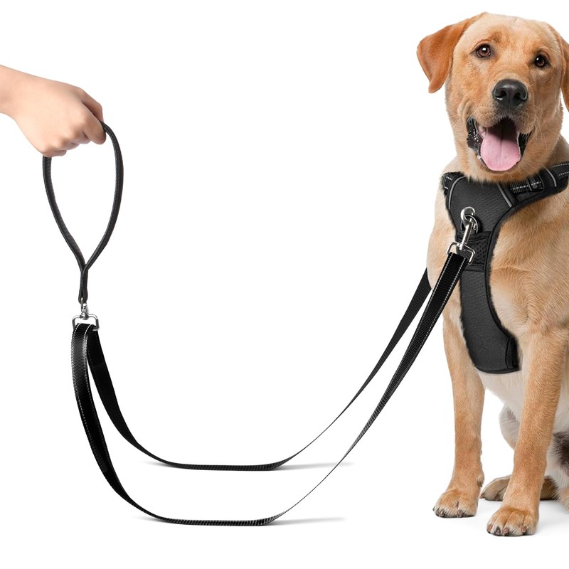 Adiwo Two Point Control Dog Leash, Professional Anti-Pull Dog Lead