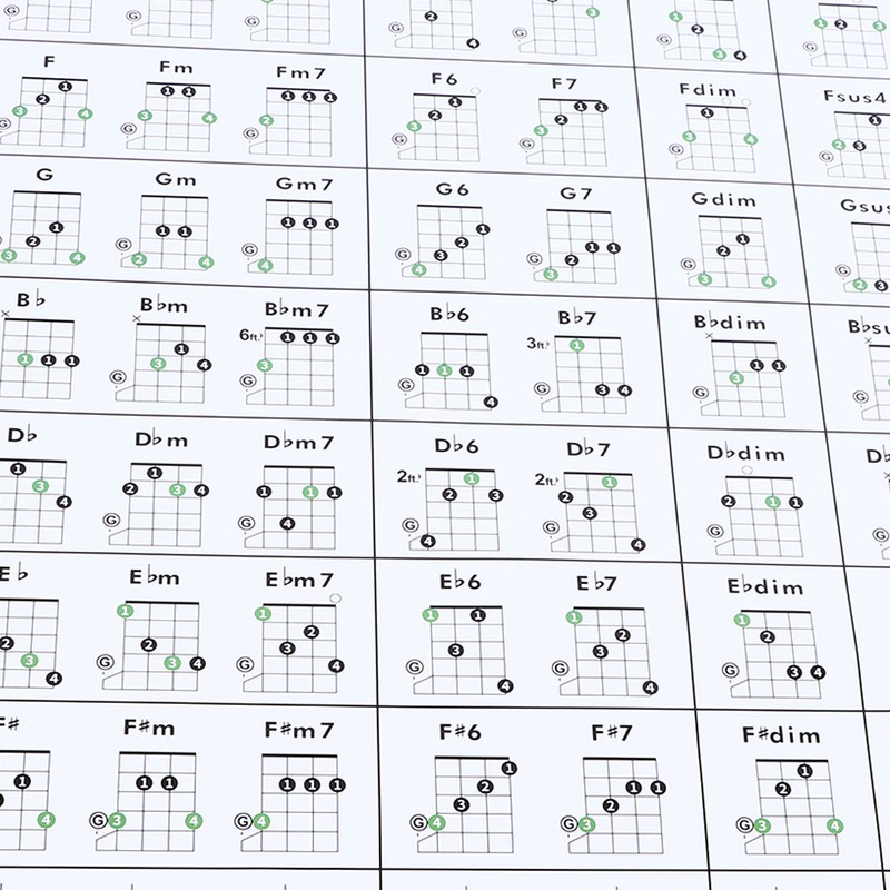 Banjo Chord Chart Feature and Tune Fingering Poster Coated Paper