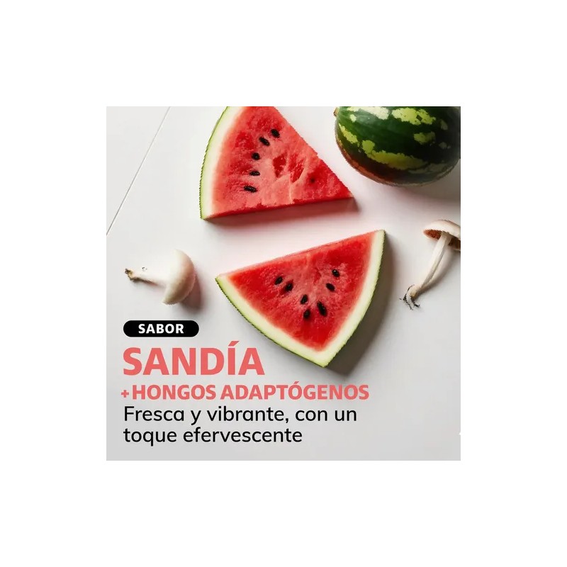 Electrolitos Hongos Adaptogenos Polvo Nootropico Energetizante Hidratación Baja Calorías Rehidratación