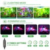 Seed Starter Trays with Grow Lights and Heat Mat, 72