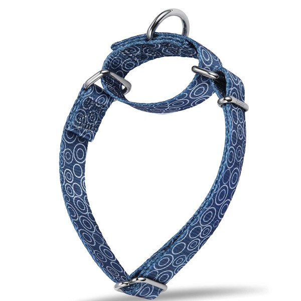 Dazzber Martingale Collars for Dogs, No Pull Anti-Escape Pet Collar,